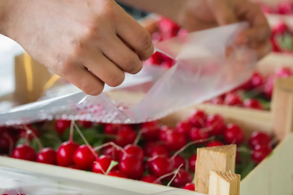 Radijs wordt met de hand ingepakt in houten kisten