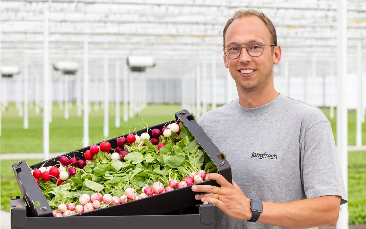 Erik de Jong met een kist vol gemengde radijs in de kas van Jongfresh