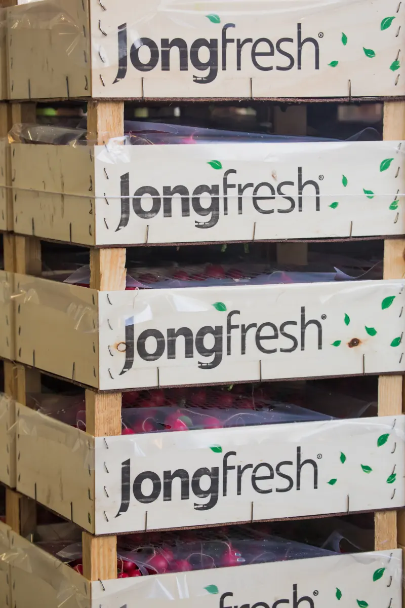 Gestapelde Jongfresh-kisten klaar voor transport