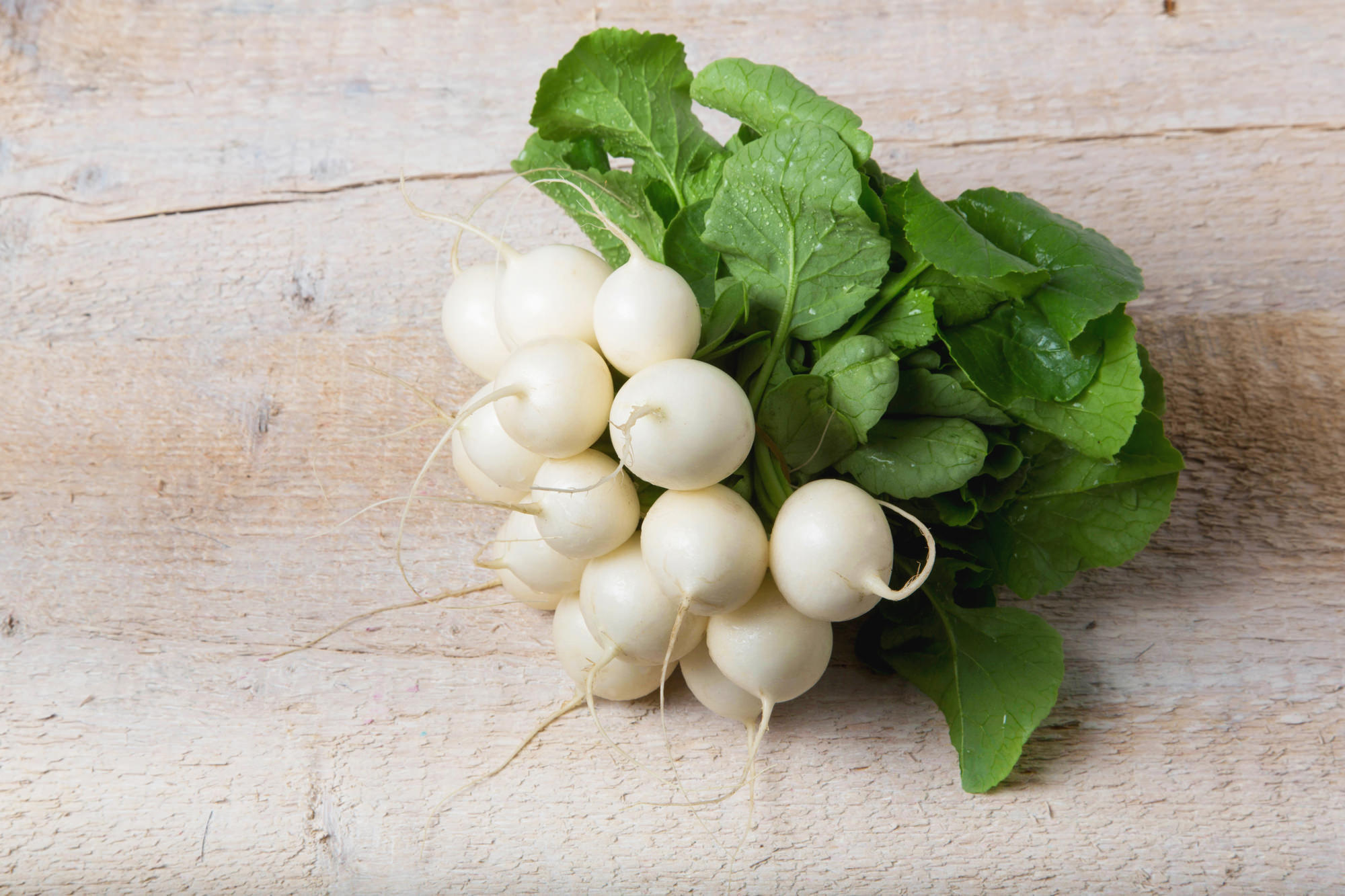 Bosje witte radijs op een houten ondergrond